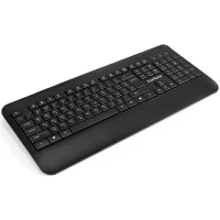 Клавиатура ExeGate Professional Standard LY-E5500M фото 1